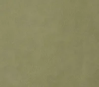 EZ-Kleen Bighorn aloe