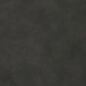 EZ-Kleen Bighorn charcoal