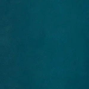 EZ-Kleen Bighorn teal