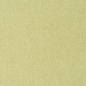 EZ Kleen Vinyl Sparta pistachio