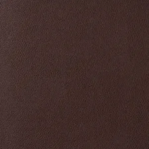 EZ-Kleen coronado brown bear