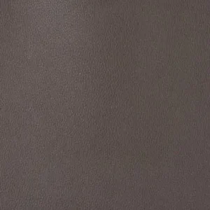 EZ-Kleen coronado coyote