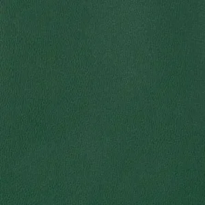 EZ-Kleen coronado pine