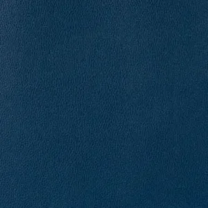 EZ-Kleen coronado sapphire