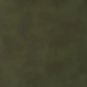 EZ-Kleen oracle olive