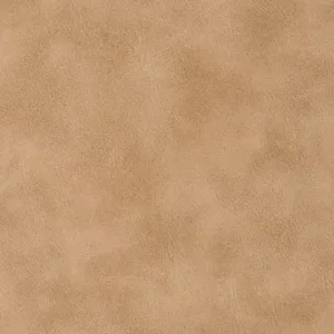 EZ-Kleen oracle tortilla