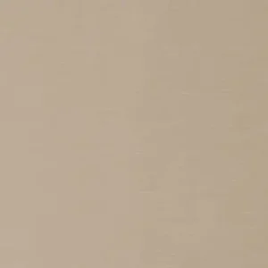 EZ Kleen vinyl solana fossil