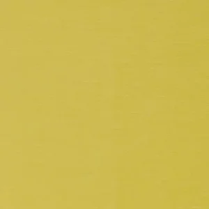 EZ Kleen vinyl solana moss