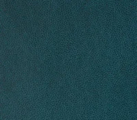 Silicone Digital Print hayden aquamarine