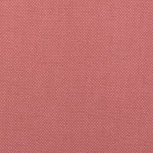 StaKleen Performance Ulster persimmon