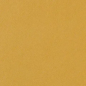 Stakleen Performance payson dijon