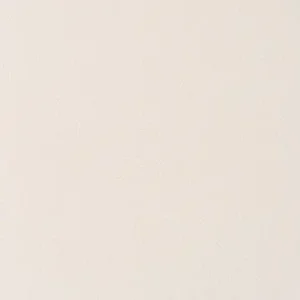 Stakleen Vinyl valencia mission