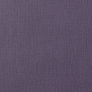 Eggplant Aurora StaKleen Performance Polycarbonate