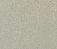 lexi-ash-leather-like-fabric