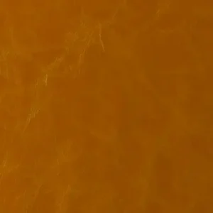 Gold Lodge StaKleen Performance Fabric