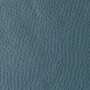 outback-sky-upholstery-material